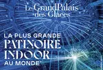 La patinoire du Grand Palais des Glaces 2024